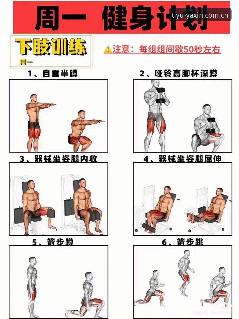 亚新官方网站 亚新综合体育新手入门:5个关键步骤助你快速上手